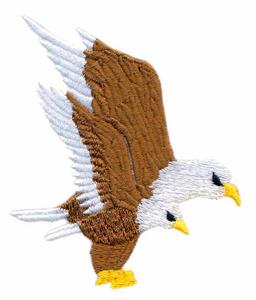 Eagle Pair