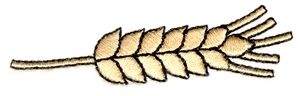 Grain Seed Head