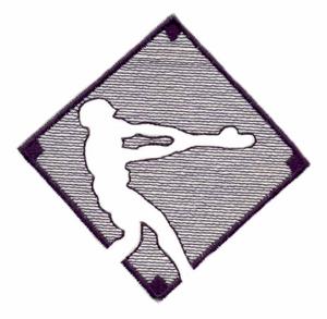 Baseball Player ( Trapunto )