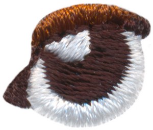 Bear -  RIght Eye (open)