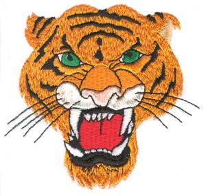 Fierce Tiger