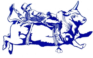 Horizontal Bull Rider