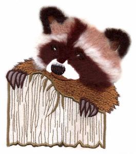 Raccoon (Yarn)