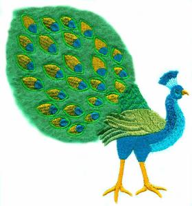 Peacock (Yarn)