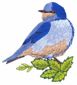 Mountain Bluebird (Yarn)