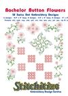 Bachelor Button Flowers