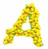 Daisychain Alphabet Letter A