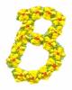 Daisychain Alphabet Letter B