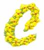 Daisychain Alphabet Letter C