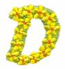 Daisychain Alphabet Letter D