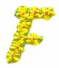 Daisychain Alphabet Letter F