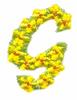 Daisychain Alphabet Letter G