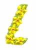 Daisychain Alphabet Letter L