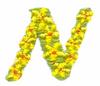 Daisychain Alphabet Letter N