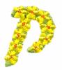 Daisychain Alphabet Letter P