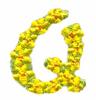Daisychain Alphabet Letter Q
