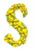 Daisychain Alphabet Letter S