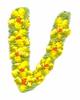 Daisychain Alphabet Letter V