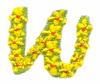 Daisychain Alphabet Letter W