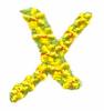 Daisychain Alphabet Letter X