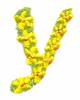 Daisychain Alphabet Letter Y