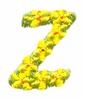 Daisychain Alphabet Letter Z