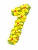Daisychain Alphabet Number 1