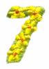 Daisychain Alphabet Number 7