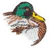 Duck Nesting