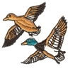 Two flying Ducks