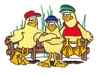 Hangin' Birds