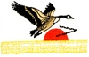 Goose Flying