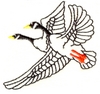 Canada Geese in flight - outline