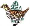 Sharptailed Grouse