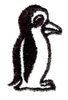 Baby Penguin