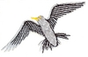 Flying Seagull