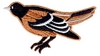 Standing Oriole