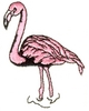 Standing Flamingo