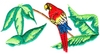 Tropical Parrot
