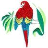 Parrot - large