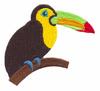 Toucan on Branch