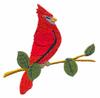 Cardinal