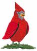 Cardinal