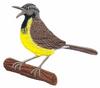 Western Meadowlark