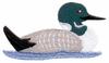Common Loon