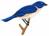 Bluebird