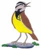 Western Meadowlark