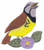 Western Meadowlark
