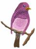 Purple Finch