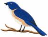 Bluebird